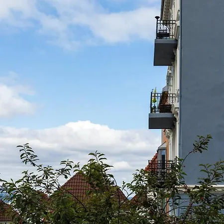 Stunning View Of The Of Fjords *